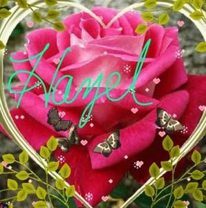 Meet your Posher, Hazel